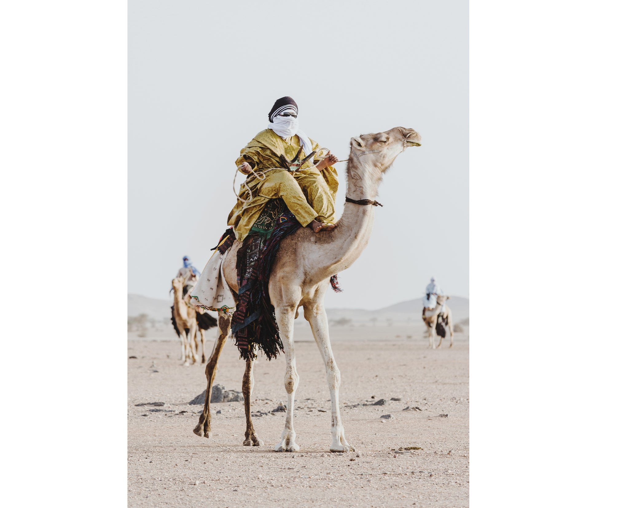 Tuareg Knights